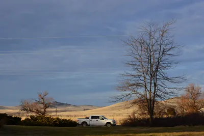 DSC_3097 (Large).JPG